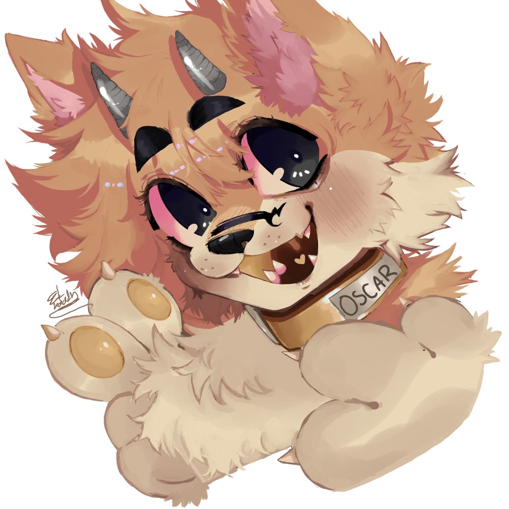 Oscar by Sarujelly
